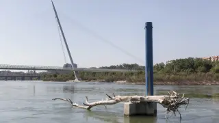 Los grandes troncos que arrastró el río siguen todavía en el entorno de la Expo