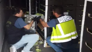 Dos agentes inspeccionan los palés de lechuga en los que se ocultaban kilos de marihuana