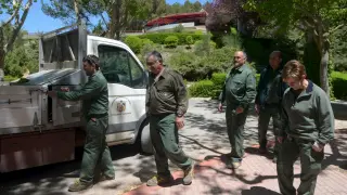 Operarios de parques y jardines de Teruel, en Los Fueros.