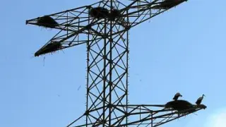 Red Eléctrica presenta este mes el trazado de la línea de alta tensión a la que se opone Aragón