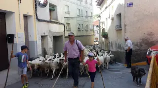 Alberto Suils pasa con sus ovejas por Benabarre en una edición anterior de la Fira.