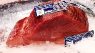 Un ejemplar de atún rojo.