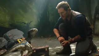 Owen Grady, interpretado por Chris Pratt, con Blue, la 'velocirraptor'.