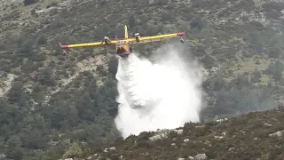 Prealerta roja por riesgo de incendios en la mayor parte de Aragón