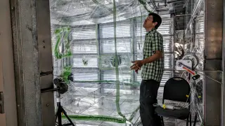 Esta cámara de 'smog' atmosférico junto a la que está José Luis Jiménez permite estudiar reacciones químicas en el laboratorio