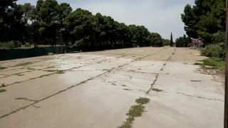 Terreno asfaltado de 10.000 metros cuadrados en el que se instalaría Interpeñas