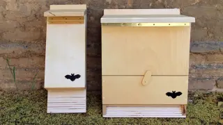 Algunas de las cajas para murciélagos colocadas en Zaragoza.
