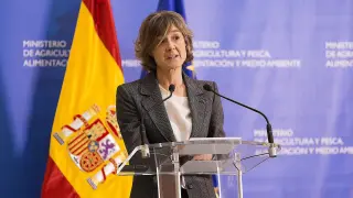 La exministra Isabel García Tejerina se encargará de la vicesecretaría de Sectorial.