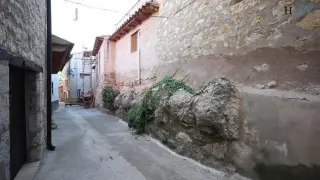 Torre de Arcas: micológicos, razonables y entusiastas