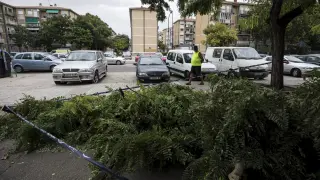 El viento ha derribado este árbol a la altura del número 5 de la calle Peña Oroel, causando algunos daños en un coche estacionado.