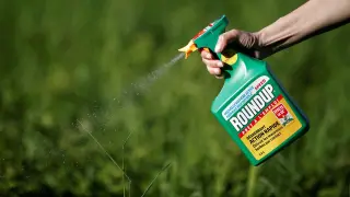 Dewayne Johnson sostiene que utilizó el herbicida Roundup de Monsanto de manera frecuente mientras trabajó como jardinero para el distrito escolar de San Francisco.