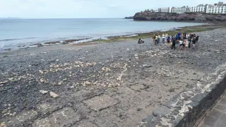 Un grupo de voluntarios del programa "Junt@s Somos Biosfera" recogiendo las construcciones de rocas en la playa de Las Coloradas