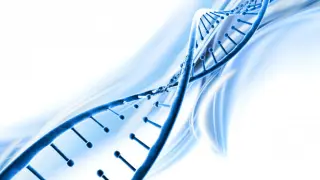 La técnica CRISPR/Cas9 permite editar el ADN con gran precisión