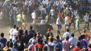 El Toro de la Vega se desarrolla sin incidentes de orden público pero con un corneado