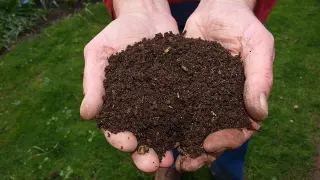 El compost es un abono resultado del procesamiento de residuos orgánicos.