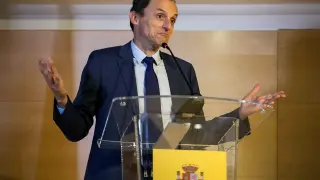 El ministro Pedro Duque durante su comparecencia.