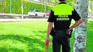 Un policía con un perro extraviado en la vía pública.