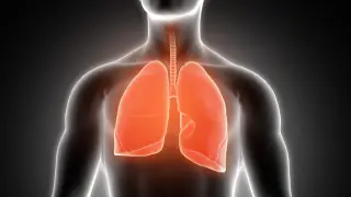 El cáncer de pulmón podría afectar a más de 40.000 personas en el año 2035.