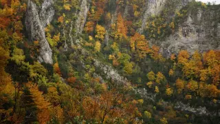 Desde lo alto, puede observarse en todo su esplendor el maravilloso cromatismo de los bosques de caducifolias al fondo del valle.