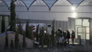 La Guardia Civil estuvo a principios de diciembre en Tauste destruyendo las plantas de cannabis, un trabajo al que dedicó más de diez horas.