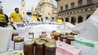 Protesta realiza en 2016 en la plaza del Pilar de Zaragoza para exigir un etiquetado claro de la miel