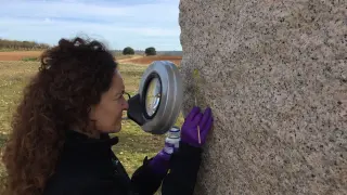 La doctora Elena Aguado, limpiando el lazo amarillo con una solución acuosa