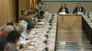 Pleno del Consejo de Salud de Aragón