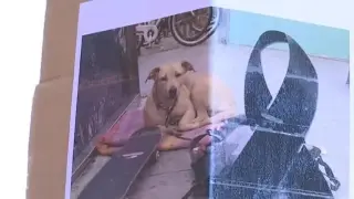 Piden que se investigue la actuación de un agente que mató a un perro de un disparo