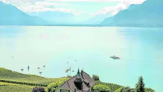 Viñedos en terraza típicos a orillas del lago Lemán, en el cantón suízo de Vaud.