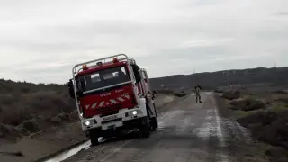 Los bomberos retiraron estiércol de la carretera de Osera.