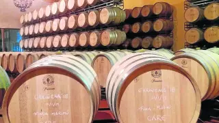 El nuevo vino elaborado con las uvas cariñena de la vendimia de 2018 ya reposa en barricas.