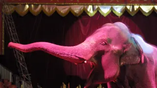 Un elefante de un circo instalado en Zaragoza, en una imagen de archivo.