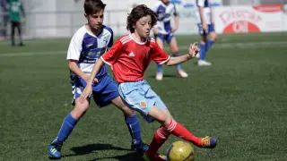 Fútbol. Alevín Preferente- Ebro vs. Real Zaragoza.