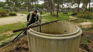 Pozo ilegal en Doñana