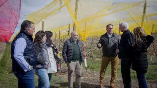 Eloy Suárez y José Manuel Aranda visitan una explotación agrícola de Olvés