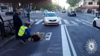 Herida una mujer tras ser atropellada por un taxi en Corona de Aragón