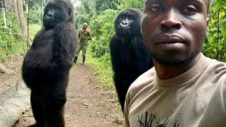 La imagen de los cuidadores con las gorilas que ha sido compartida en las redes sociales.