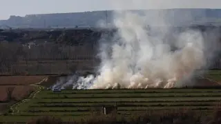 quema agrícola
