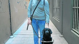 Usier, un perro labrador de apenas dos años, es la luz que ilumina el caminar de Sergio Brau, su guía por las calles de Zaragoza
