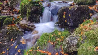 Curso de agua descendiendo en  otoño por el Moncayo.