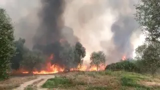 Incendio entre Codo y Belchite