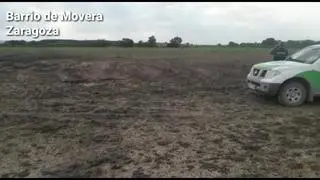 Agentes de la Unidad Verde detectan que el origen está en el uso de unos fangos para abonar unos campos de Movera.