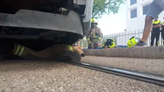 Un bombero rescatando al animal