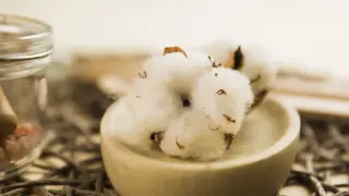 Bolitas de algodón