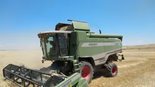 Un agricultor realiza las labores de recolección del cereal de secano en una explotación de Huesca.