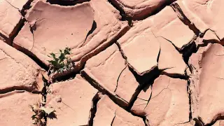 Pantano en Aragón, durante un episodio de sequía..