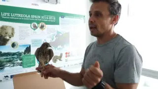 Chabier González, veterinario del Centro de Recuperación de Aves de La Alfranca