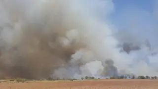 incendio Villanueva de Huerva