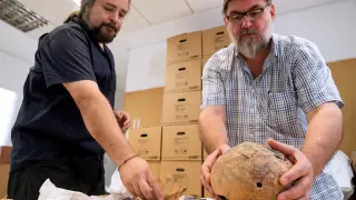 Los responsables de Adico muestran un cráneo extraído de una foso y pendiente de identificar.