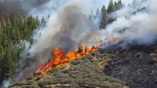 Imagen del incendio de Gran Canaria.